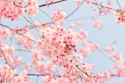 3月