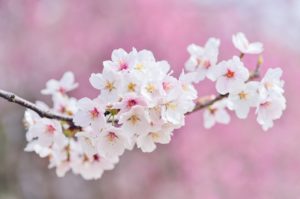 4月